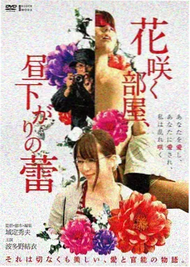 流浪地球2 影视大全完整版
